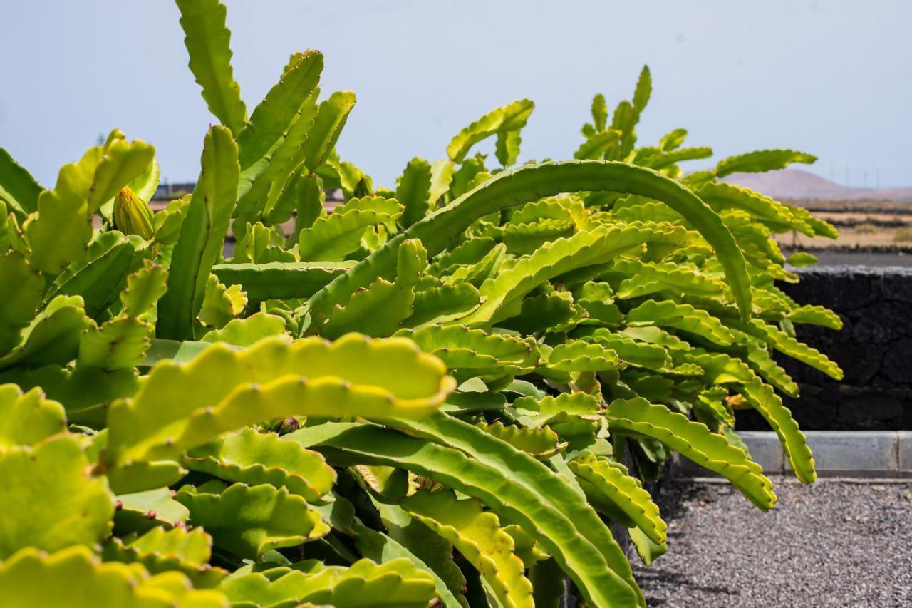 Hotel Eslanzarote Eco Dome Experience Teguise  Zewnętrze zdjęcie