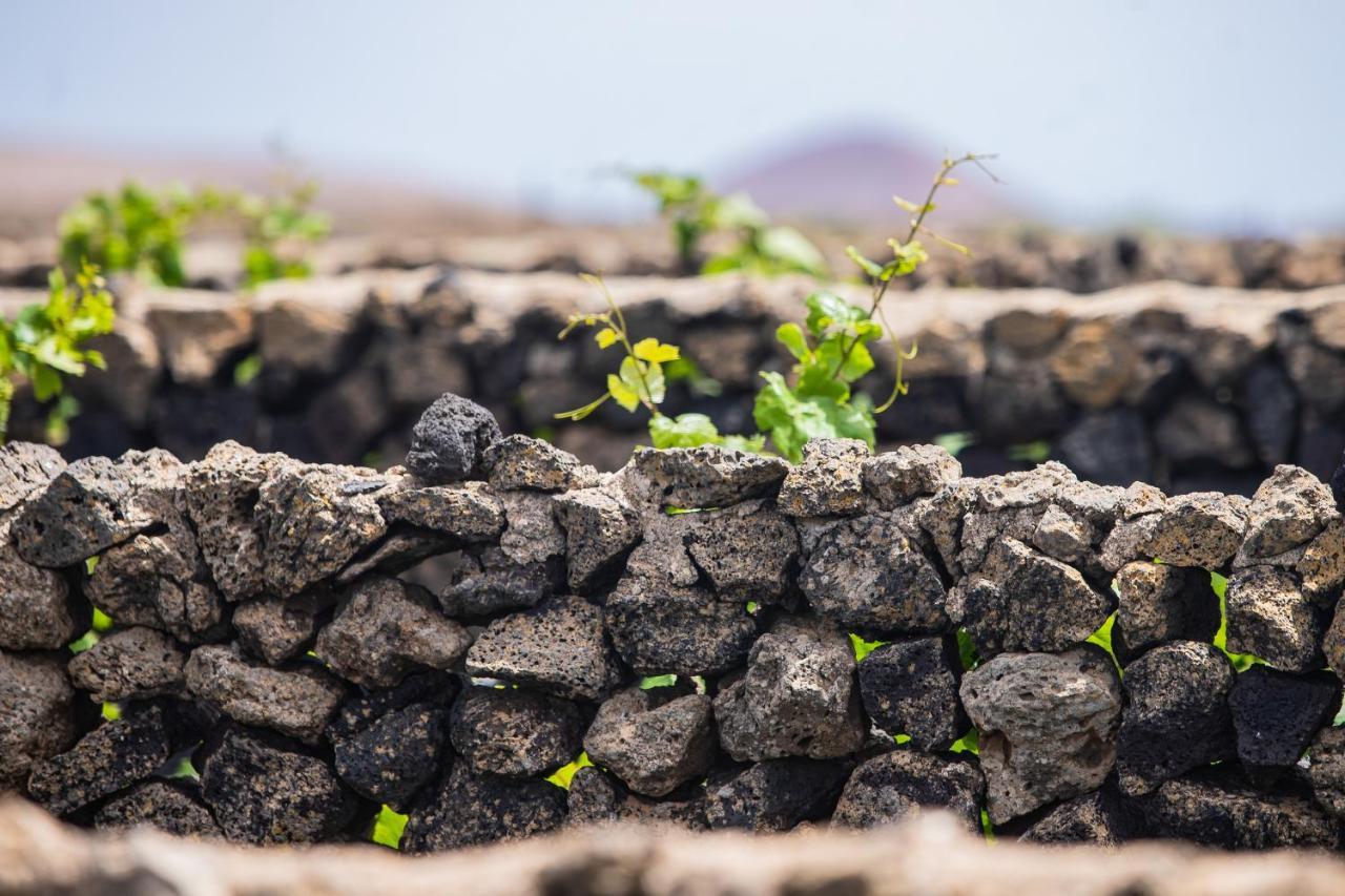 Hotel Eslanzarote Eco Dome Experience Teguise  Zewnętrze zdjęcie