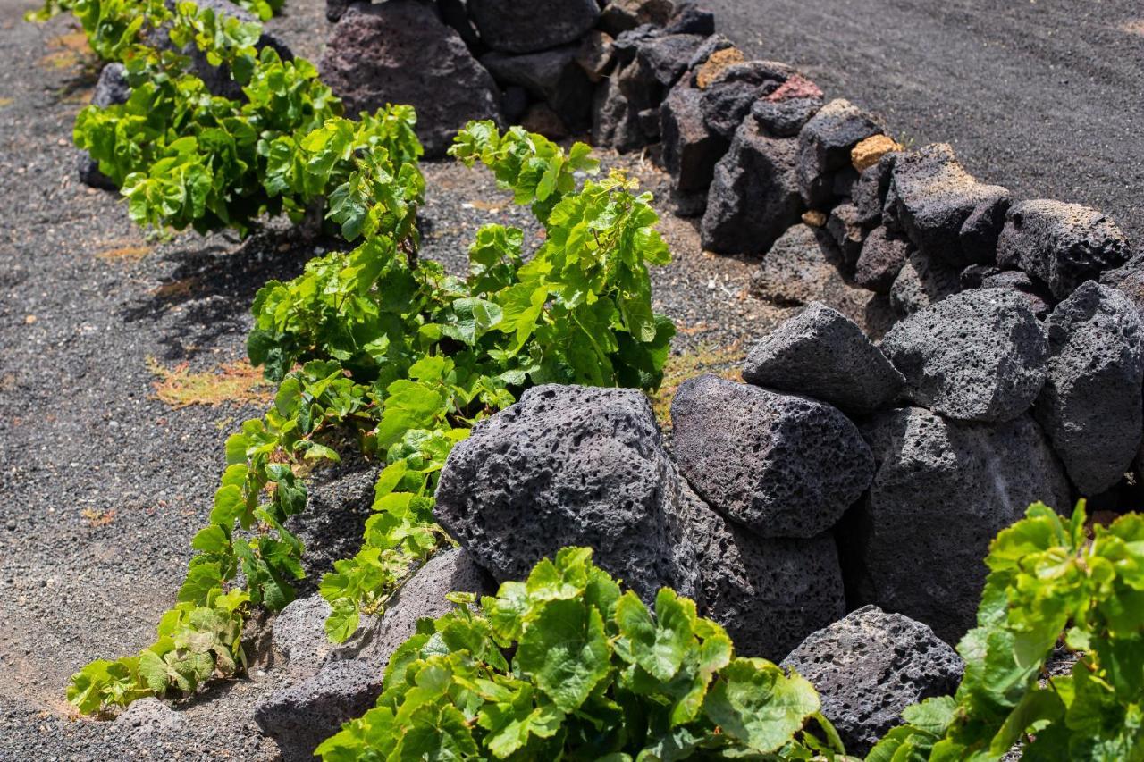 Hotel Eslanzarote Eco Dome Experience Teguise  Zewnętrze zdjęcie